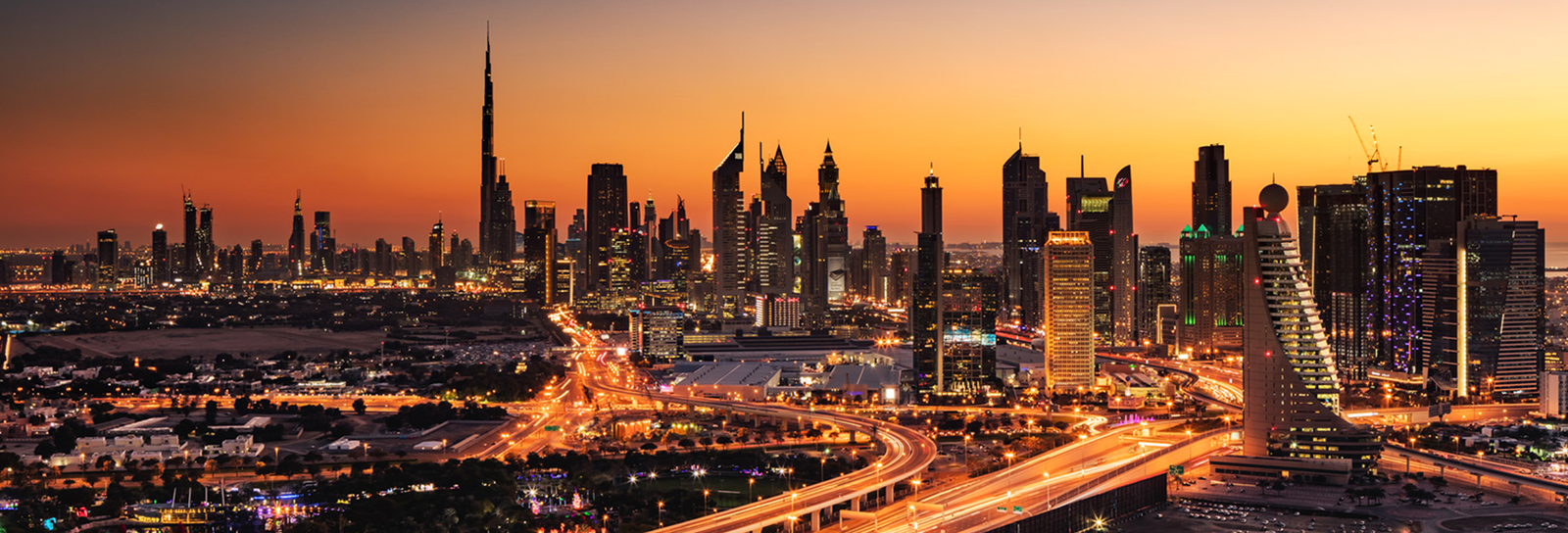 DSM Strategy Overview